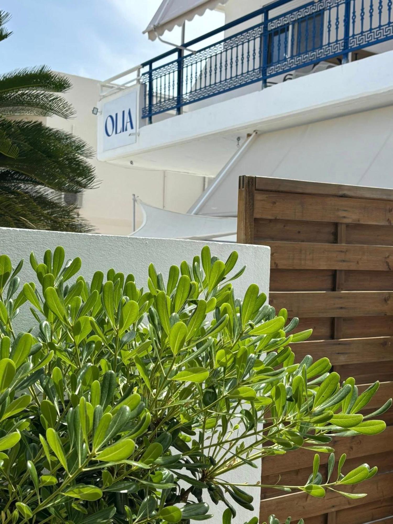 奥尔加一室公寓 法里拉基 外观 照片